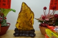 北辦成立00003