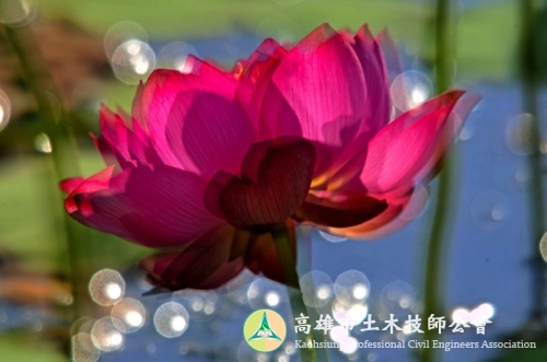 圖示說明