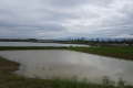 DSC00630