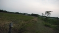 DSCN3808