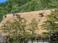 LINE_ALBUM_112年高雄市土木技師公會-日本黑部立山_230629_104