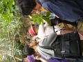 P1010053