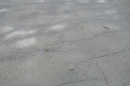 DSC00670