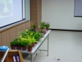 P1000913