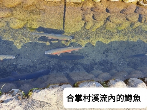 LINE_ALBUM_112年高雄市土木技師公會-日本黑部立山_230629_60
