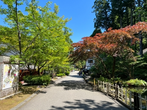 LINE_ALBUM_112年高雄市土木技師公會-日本黑部立山_230629_109